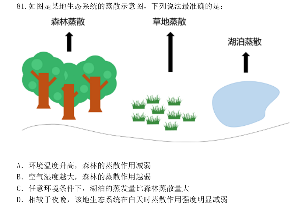 第81题题干图