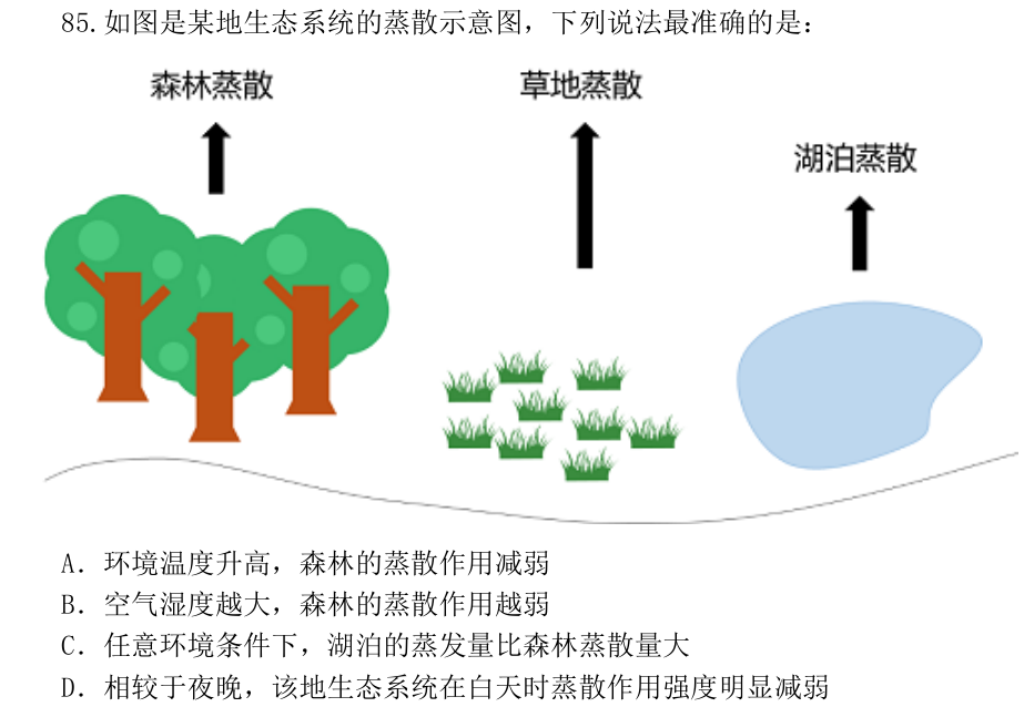 第85题题干图