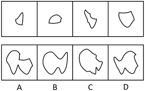 第85题题干图