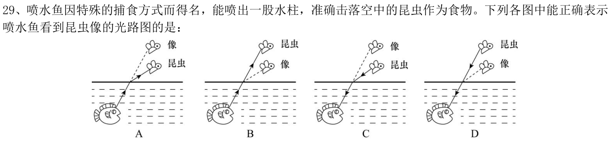 第29题图