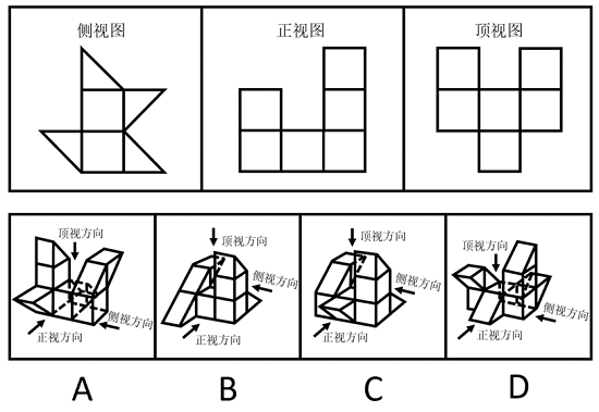 第77题题干图
