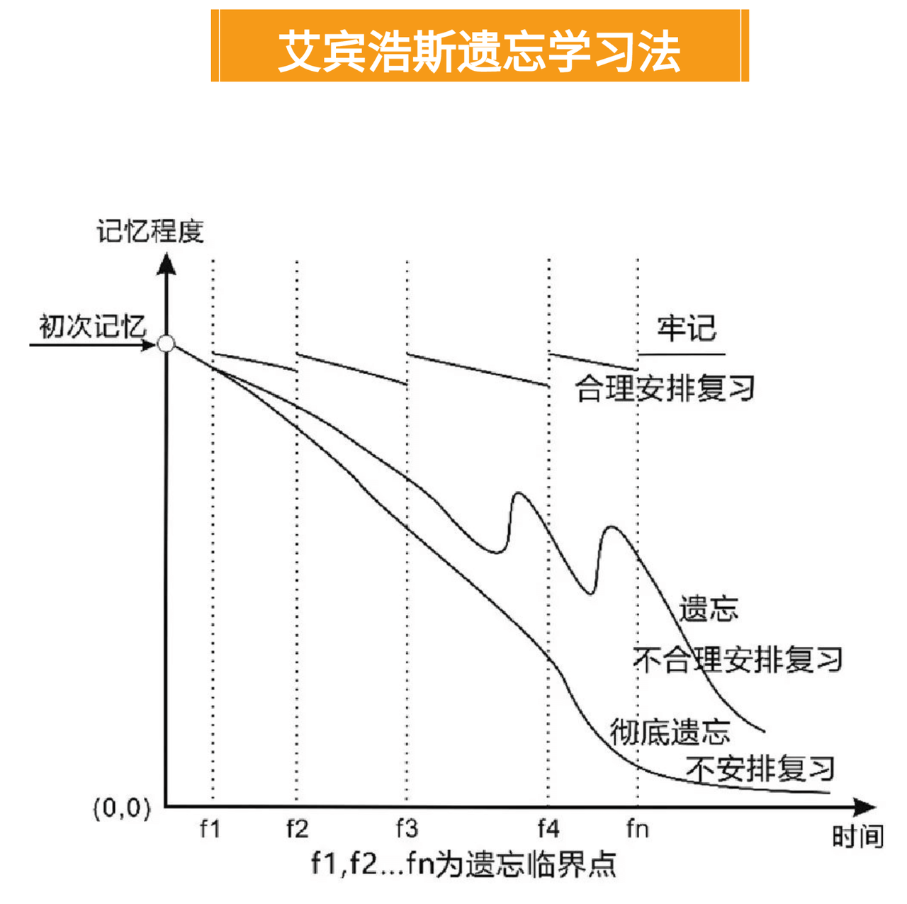 艾宾浩斯遗忘学习法